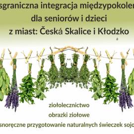 warsztaty zielarstwa