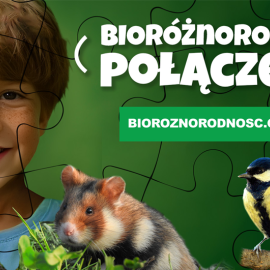 Bioróżnorodność